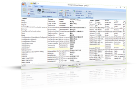 TsiLang Dictionary Manager